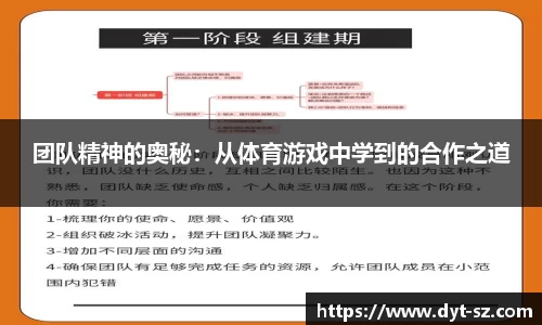 团队精神的奥秘：从体育游戏中学到的合作之道